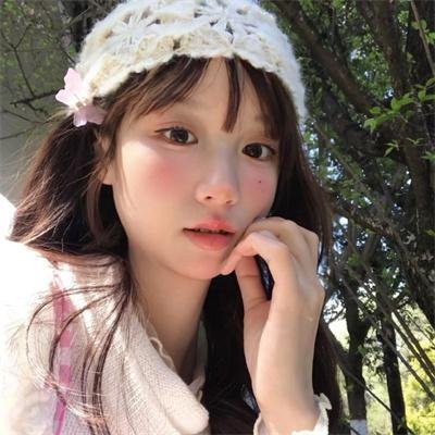 梅花档案