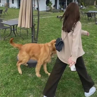 天使的眼睛